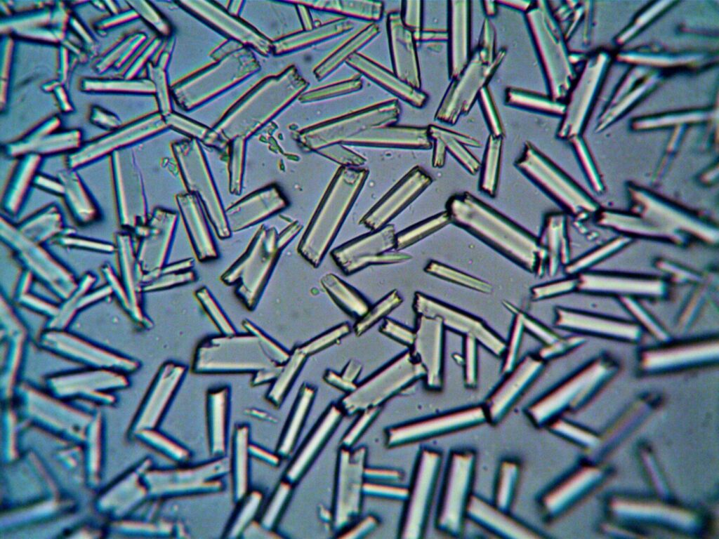 Exploring Nelonium: The Next Big Thing in Materials Science