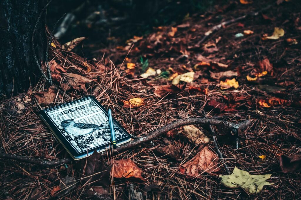 idea capture tool interface