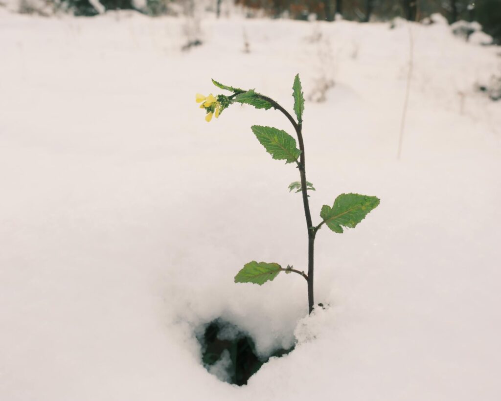 Nsetprag emerging trend abstract