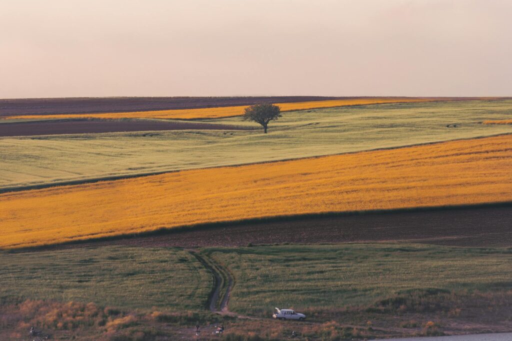 Rovzizqintiz landscape nature