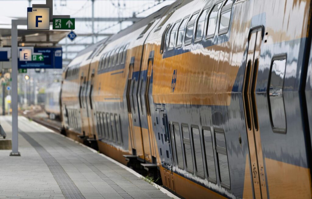 Zvideo platform interface