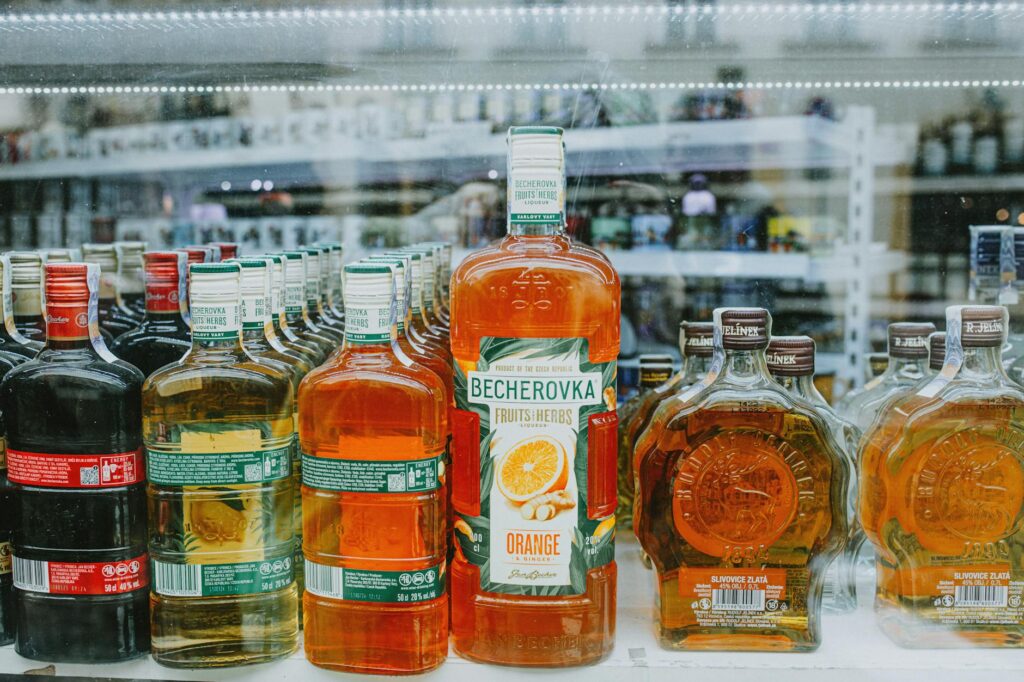 Brandy Quaid actress