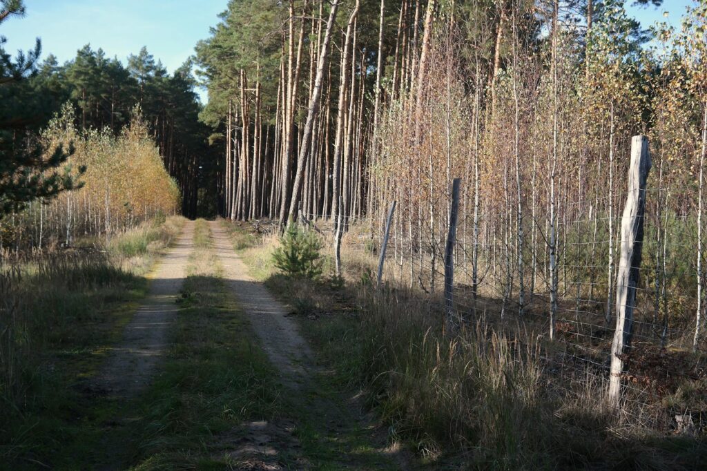Kotora Melnkalne landscape village