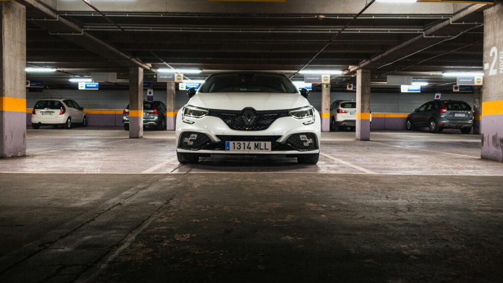 Megan Avedian professional leadership