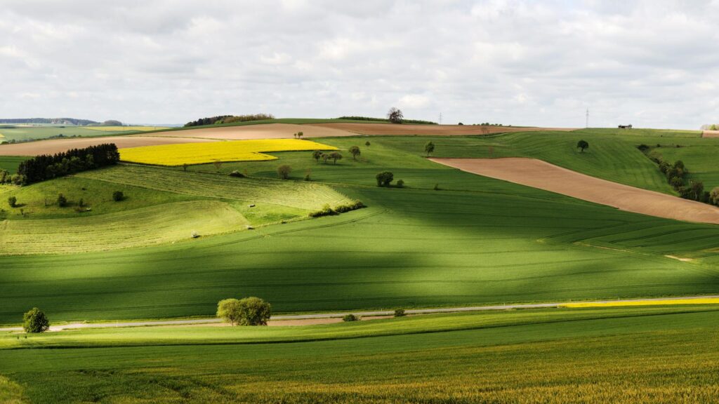 Nerwey landscape traditional village