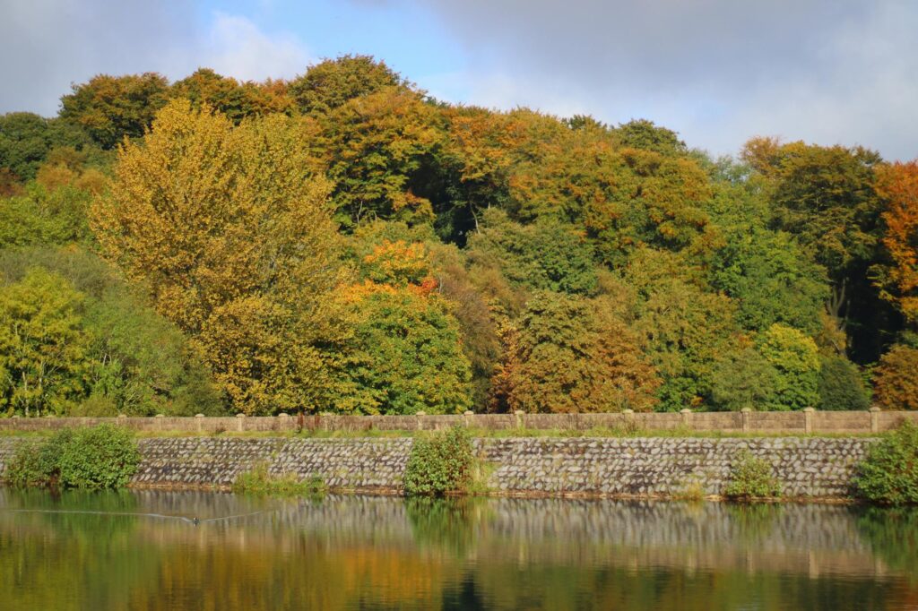 Pabington scenic landscape nature