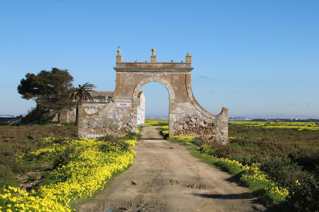 portar leisa artwork abstract