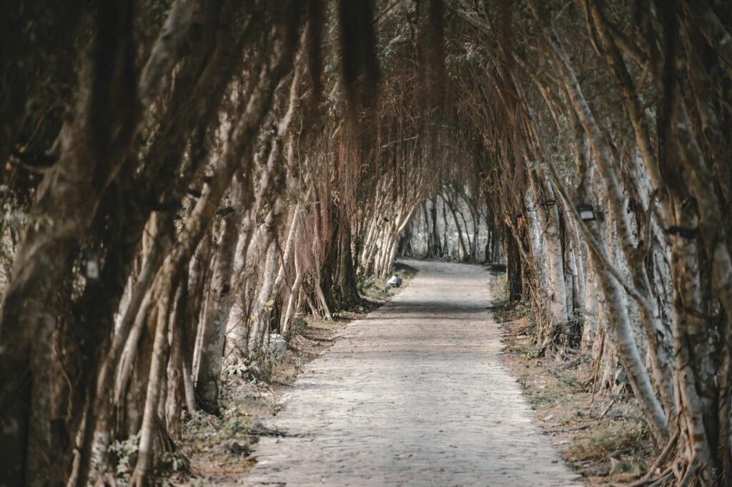 journey through ideas