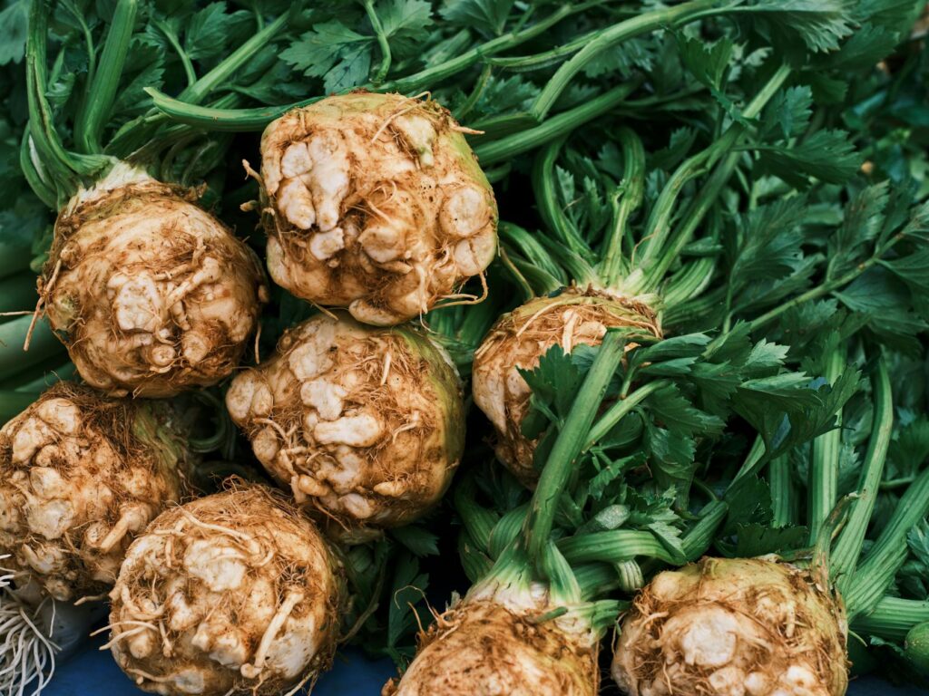 celery root preparation