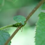 Tristan Kern de Gonzales productivity