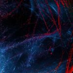 abstract digital concept art