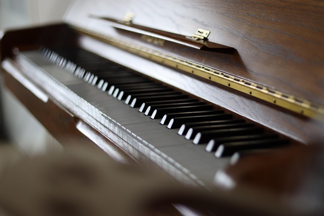 Illustration of ancient wooden musical instruments like lyres and harps