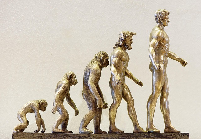 Historical timeline showing evolution of time management from agricultural planning to modern digital tools