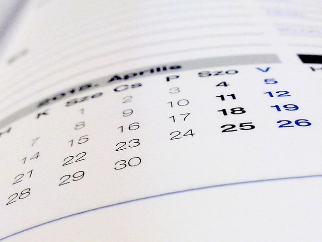 Screenshot of a digital calendar with time blocks assigned to different tasks