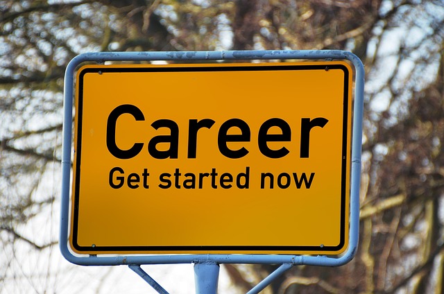 Dashboard showing progress on career development goals