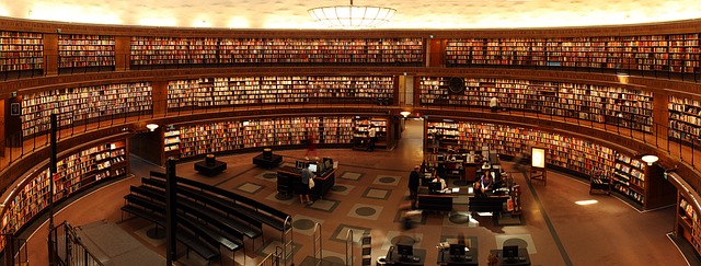 Person using a library computer to access online resources.
