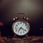 white rabbit holding clock
